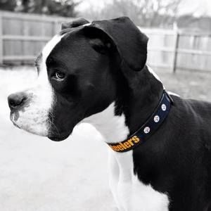 Meet your Posher, Briane